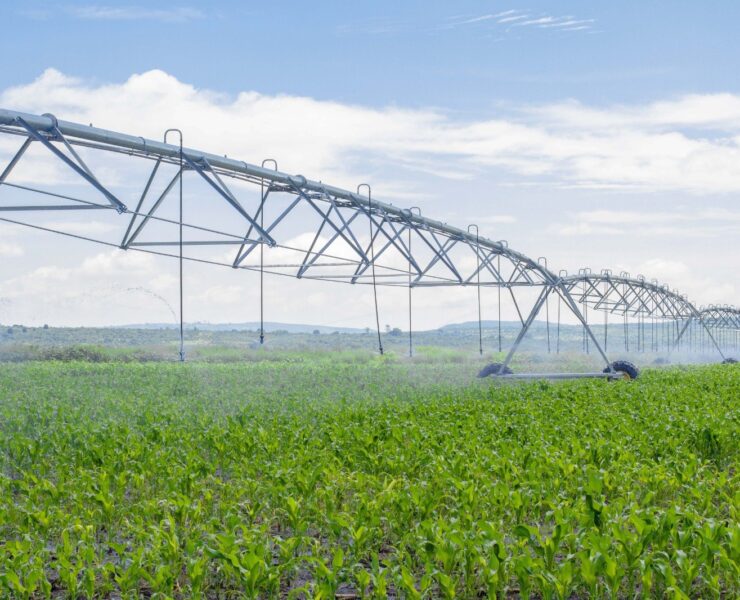 Aviso importante de la Secretaría de Agricultura y Desarrollo Rural