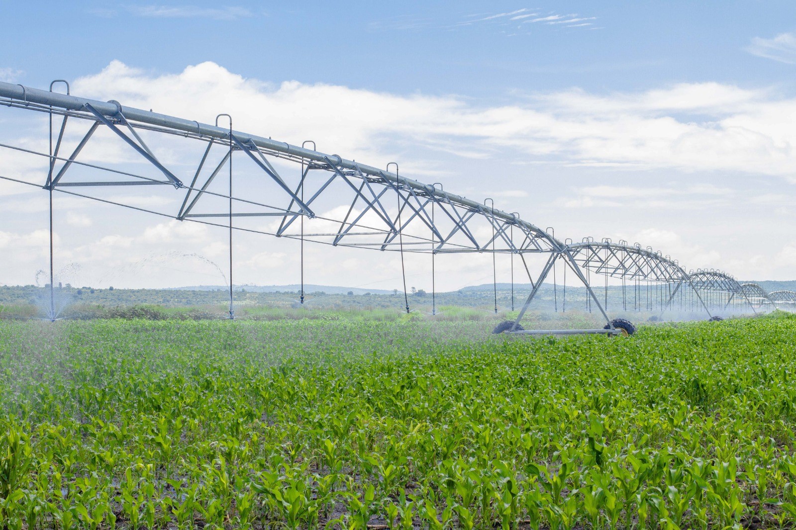 Aviso importante de la Secretaría de Agricultura y Desarrollo Rural