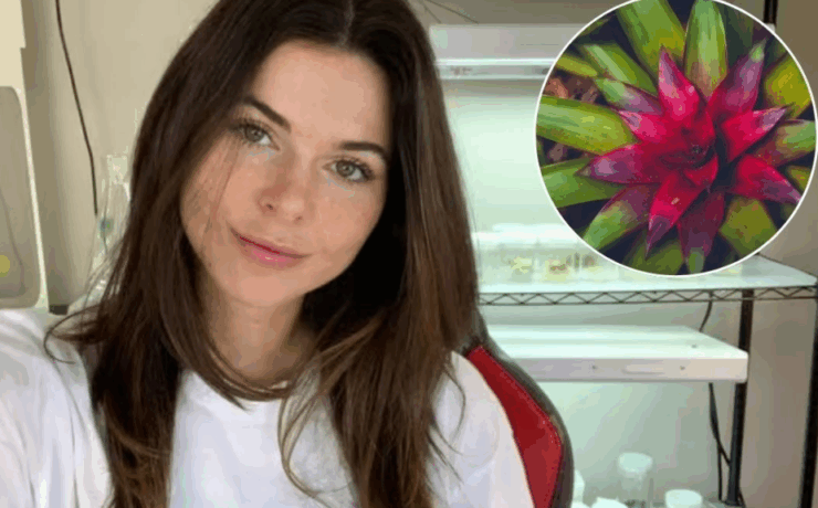 Una youtuber clona plantas raras y se vuelve viral por ello