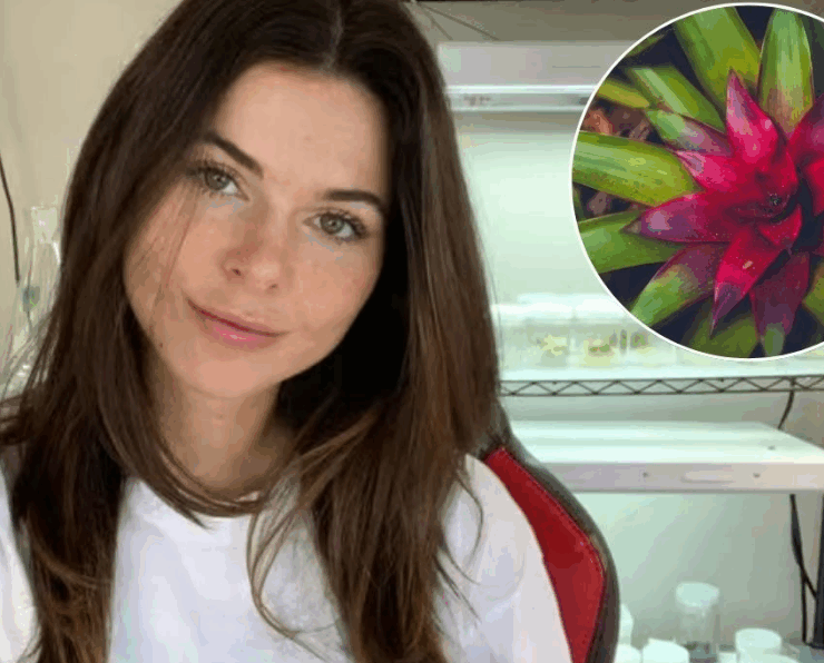 Una youtuber clona plantas raras y se vuelve viral por ello