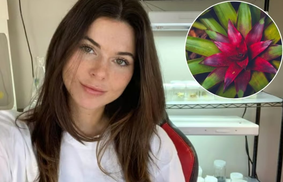 Una youtuber clona plantas raras y se vuelve viral por ello
