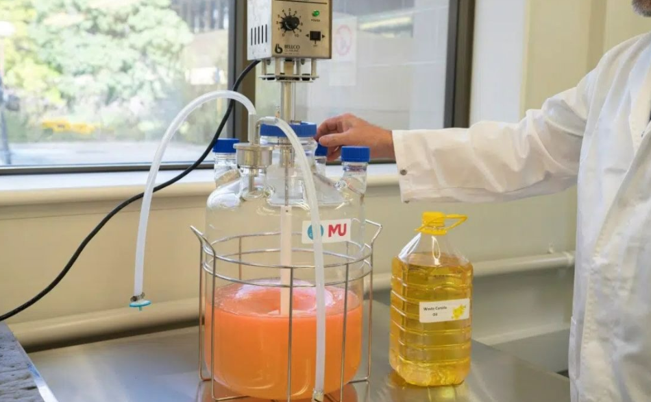 Apoyo gubernamental y colaboración académica