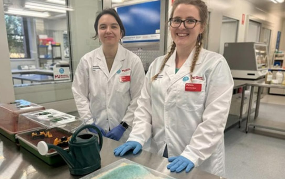 Alcance global y beneficios ambientales