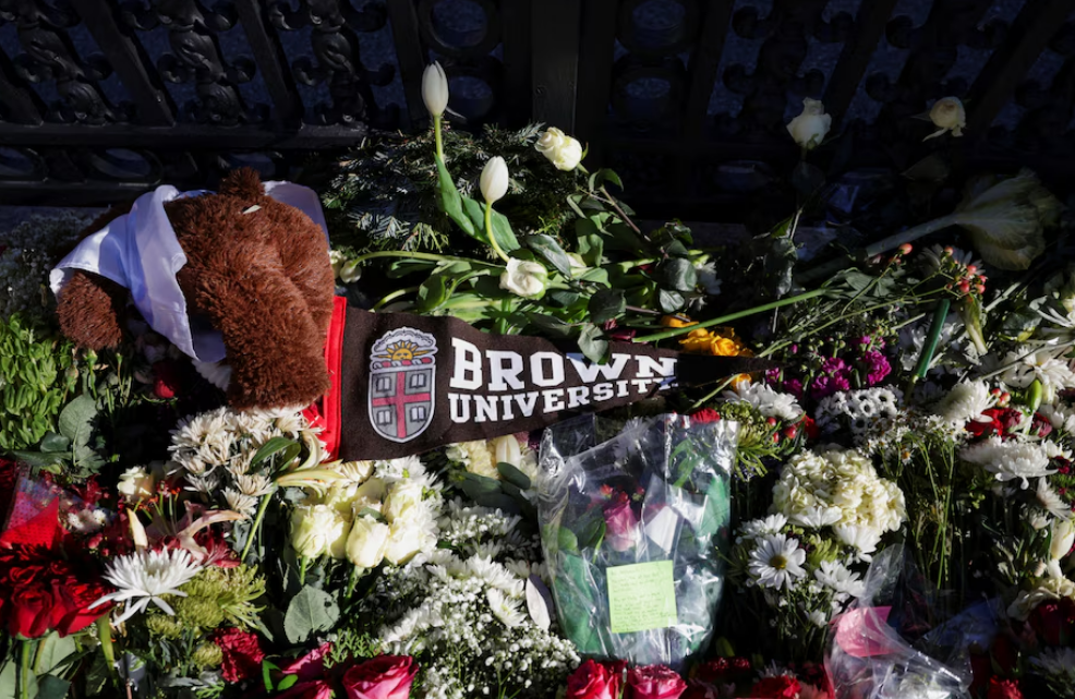 Cómo puede ayudar la ciudadanía