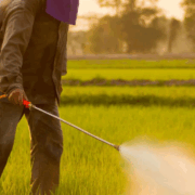 Un estudio alerta sobre químicos "permanentes” en alimentos de Europa