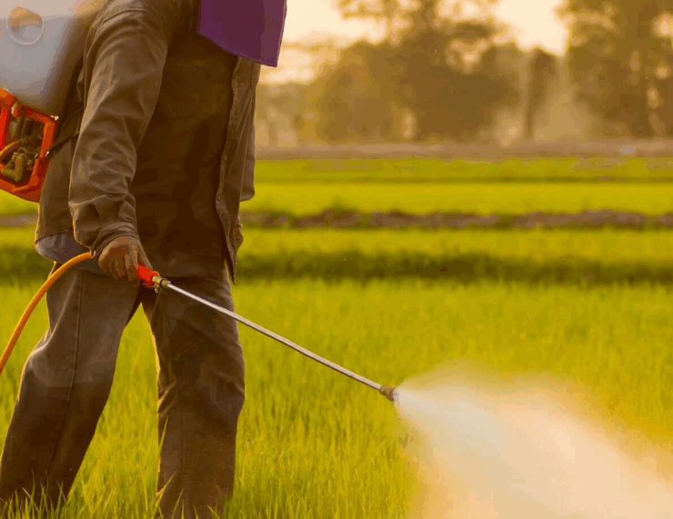 Un estudio alerta sobre químicos "permanentes” en alimentos de Europa