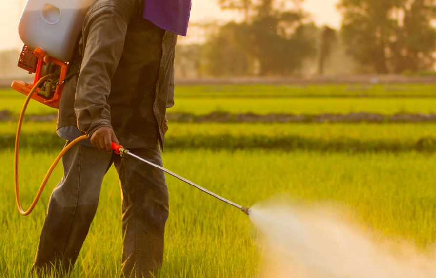 Un estudio alerta sobre químicos "permanentes” en alimentos de Europa