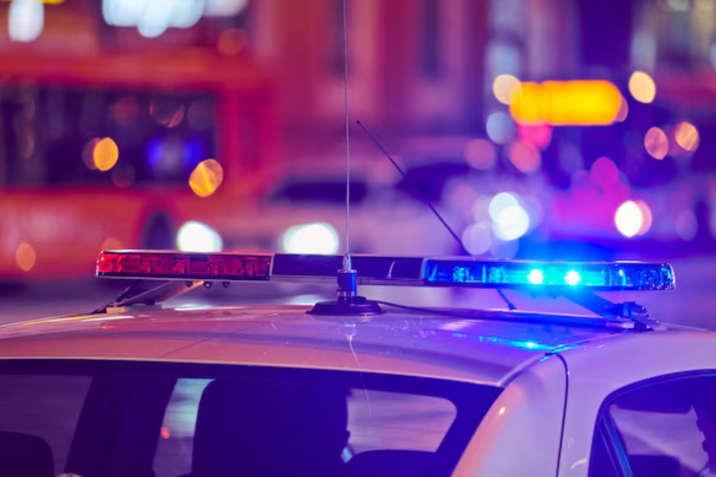 Reacciones de la comunidad académica