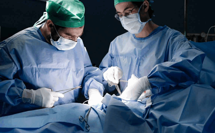 Científicos logran convertir un órgano en "universal" solucionando los problemas de compatibilidad