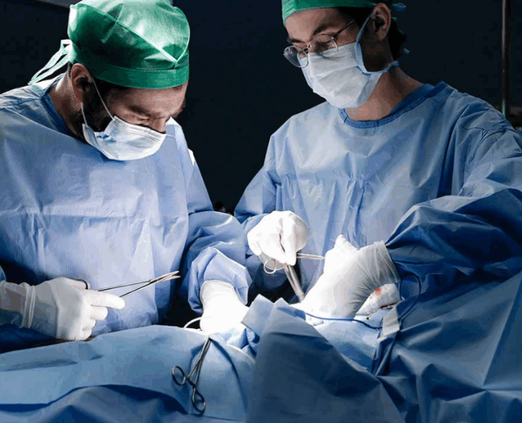 Científicos logran convertir un órgano en "universal" solucionando los problemas de compatibilidad