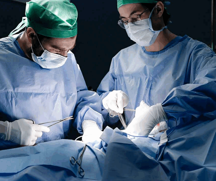 Científicos logran convertir un órgano en "universal" solucionando los problemas de compatibilidad