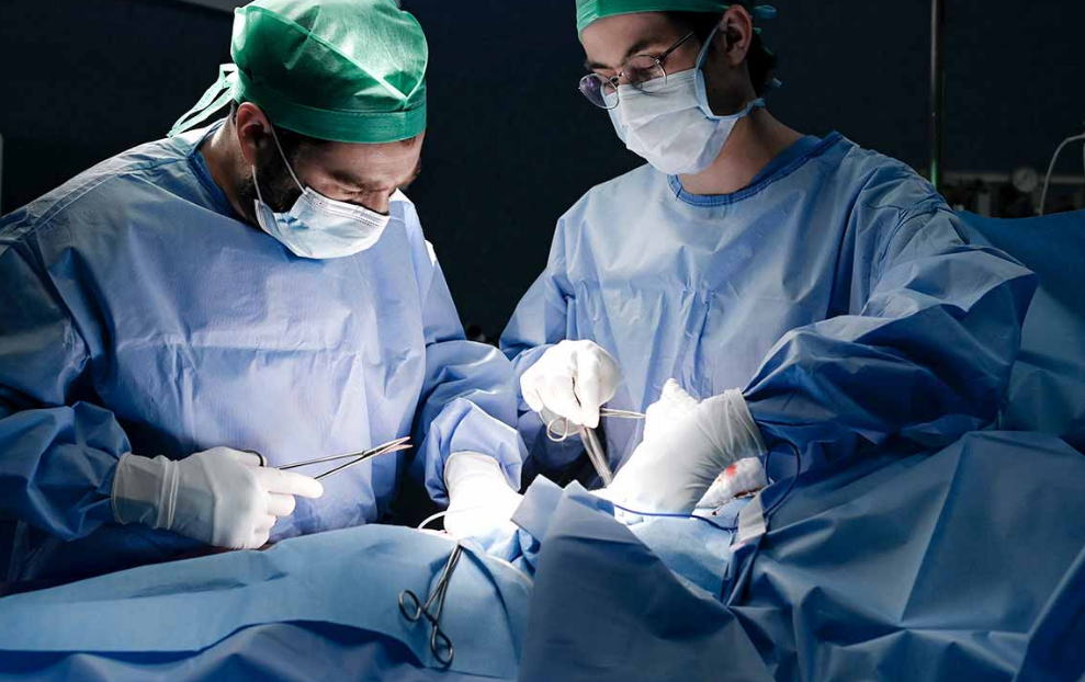 Científicos logran convertir un órgano en "universal" solucionando los problemas de compatibilidad