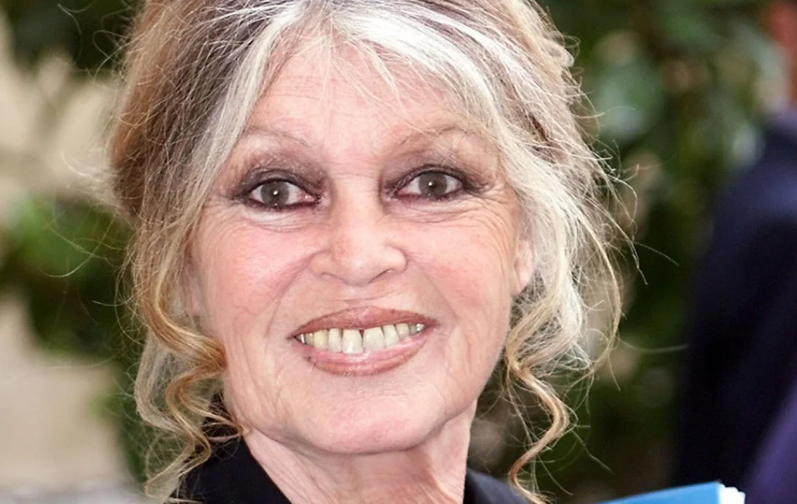 De estrella de cine a activista animal