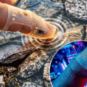 Ahora podrás "sentir" lo que toques en la pantalla de tu teléfono