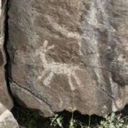 Descubren grabados milenarios en piedra durante trabajos del tren de Querétaro