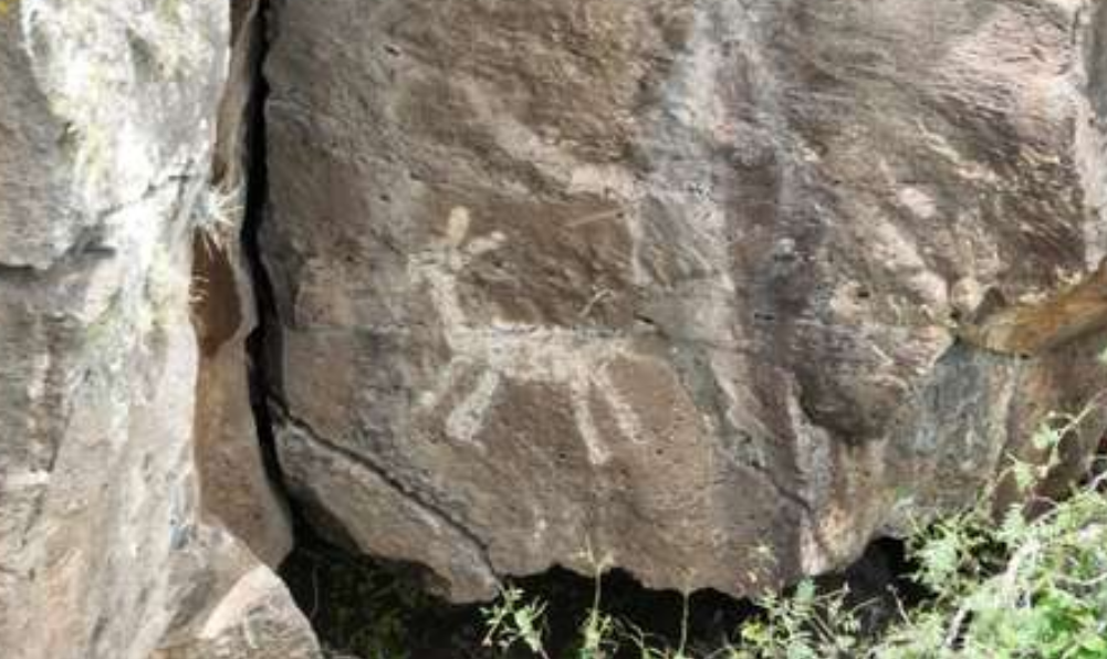 Descubren grabados milenarios en piedra durante trabajos del tren de Querétaro