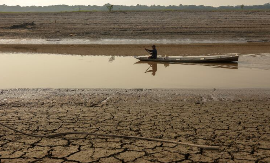 Impacto global: carbono y biodiversidad