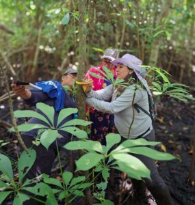 El proyecto se implementó en ocho comunidades de Campeche, Tabasco y Oaxaca, donde más de 60 personas fueron capacitadas para evaluar la salud de los manglares
