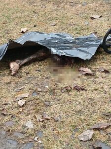 Estragos que dejó la explosión de coche bomba en Michoacán, en una de las zonas más concurridas de Coahuayana.