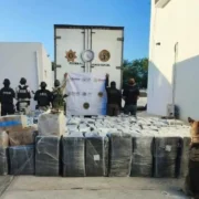 Duro golpe al narcotráfico Operativo histórico en carretera Campeche–Mérida