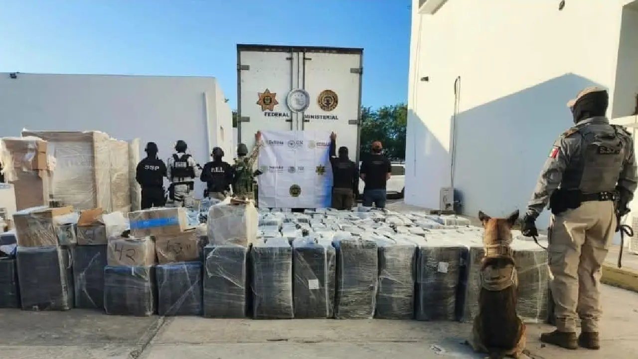 Duro golpe al narcotráfico Operativo histórico en carretera Campeche–Mérida