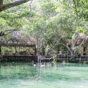 El Corchito se consolida como uno de los paradores turísticos más visitados de la temporada