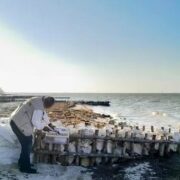 Mano dura ambiental: PROFEPA clausura cinco espolones ilegales en costas de Yucatán