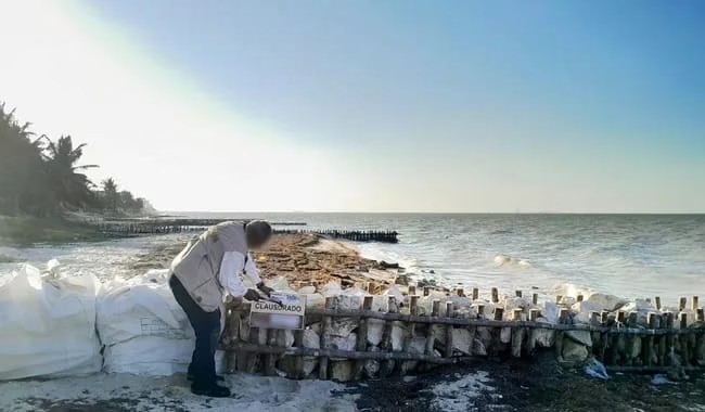 Mano dura ambiental: PROFEPA clausura cinco espolones ilegales en costas de Yucatán