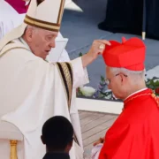 2025: Un año de duelo, renovación y testimonios que marcaron a la Iglesia Católica