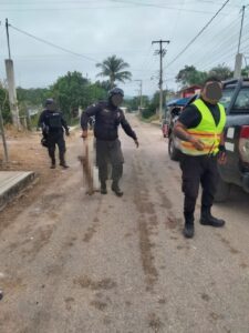 Otro caso de maltato animal se ha registrado en Yucatán