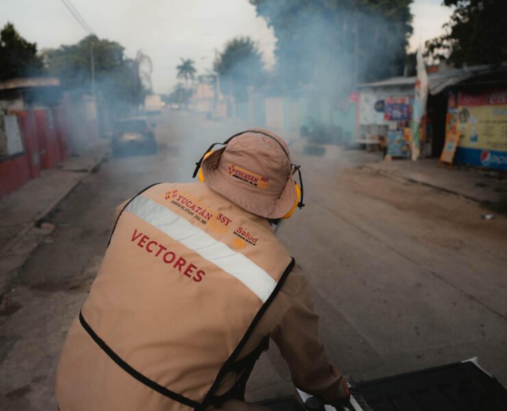Refuerzan llamado preventivo ante casos de chikungunya