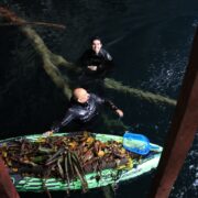 Renacer Natural: Inauguran nueva infraestructura del cenote Santa Elena en Tizimín