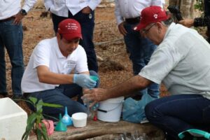 Plan Piloto de Supresión del gusano barrenador del ganado mediante trampas de bajo costo 