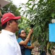 ¡Protegen al ganado! Trampas que frenan al gusano barrenador