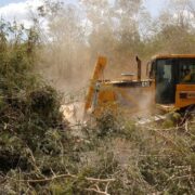 Crece lavado verde: justifican inmobiliarias y autoridades ecocidios con sustentabilidad