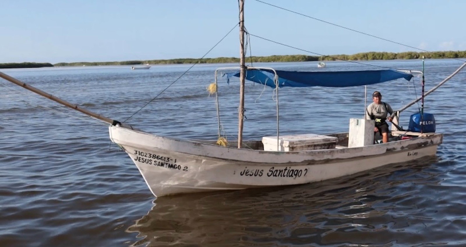 Yucatán impulsa su pesca: aumenta la cuota de pulpo a 32 mil toneladas