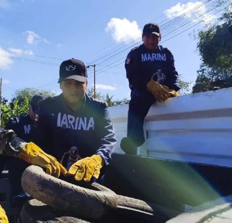 Acciones coordinadas en la Campaña de descacharrización en Centla