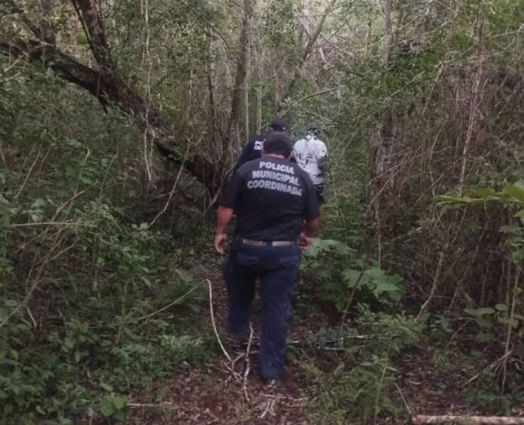 Ataque de abejas cobra la vida de adulto mayor en Yucatán