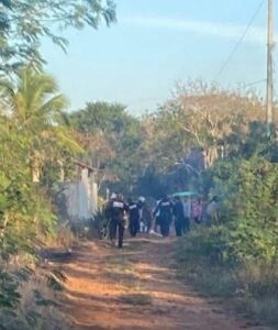 Un ataque de abejas registrado en el municipio de Temax dejó como saldo una persona fallecida y una mujer con lesiones