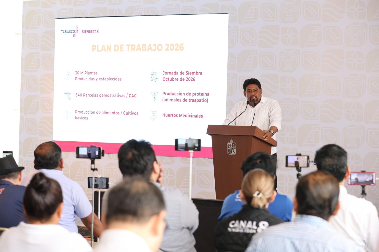 Avanza Tabasco hacia la autosuficiencia alimentaria