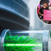 Jóvenes crean filtro de escape que purifica los gases dañinos y crea oxigeno