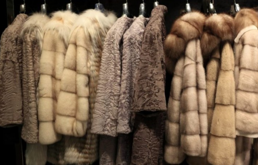 Cómo la sociedad influyó en esta decisión