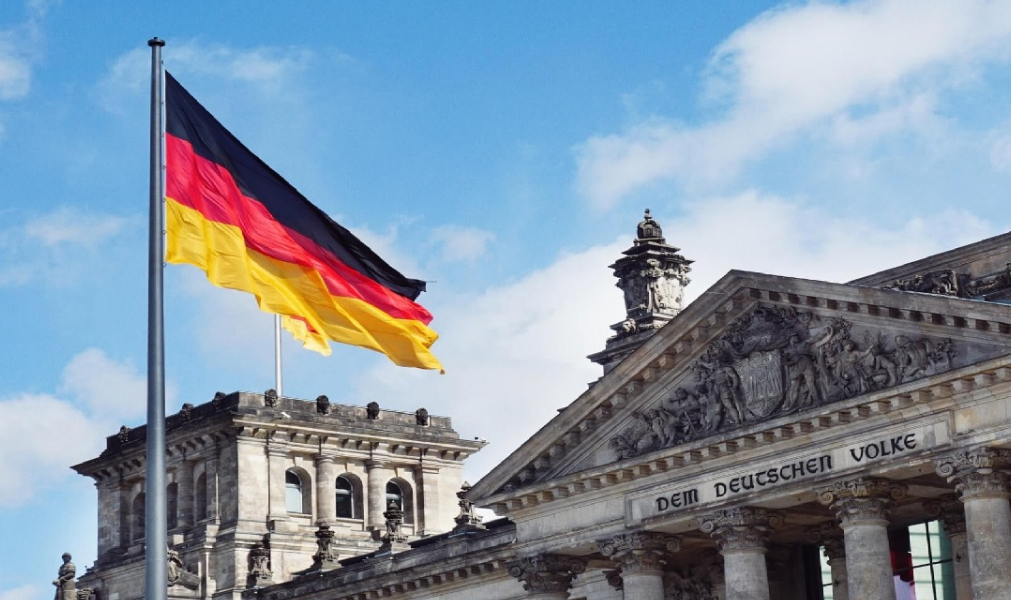 Alemania da un paso enorme en la protección animal al cerrar "granjas de pieles"