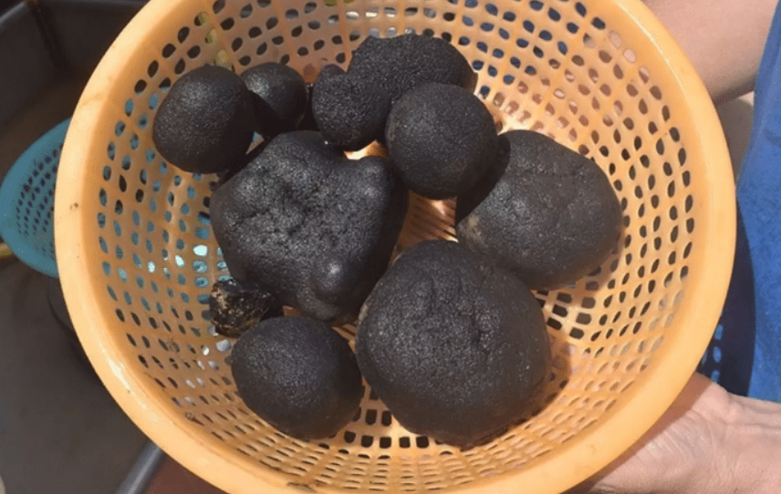 Innovación tecnológica y autosuficiencia nacional