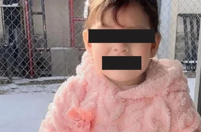 Migración de EEUU detienen a una niña de dos años en Minesota