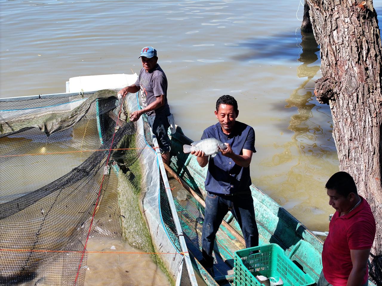Centla marca el inicio del ciclo productivo 2026