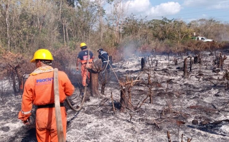 Cerca de 100 incendios golpearon la Península en 2025