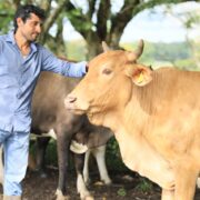 Crédito Ganadero a la Palabra transforma la vida de familias