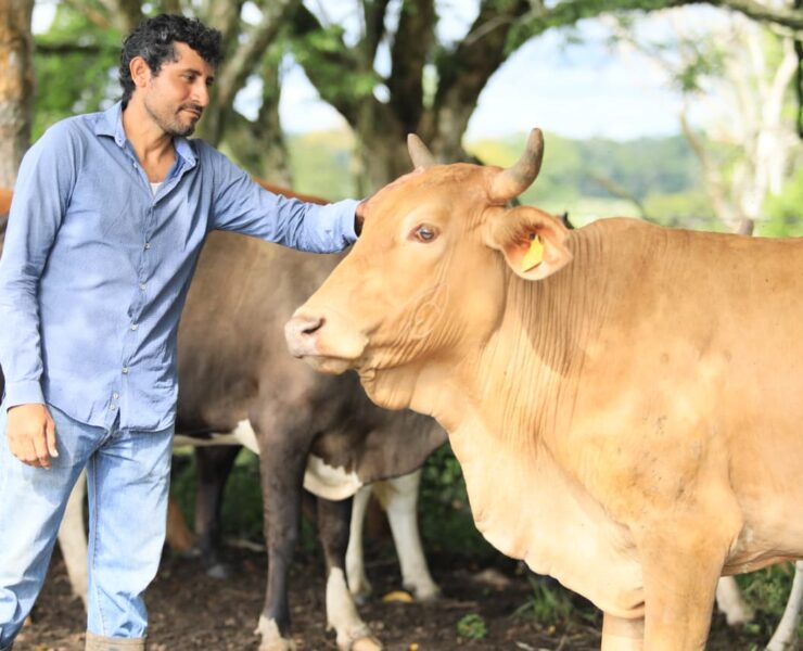 Crédito Ganadero a la Palabra transforma la vida de familias