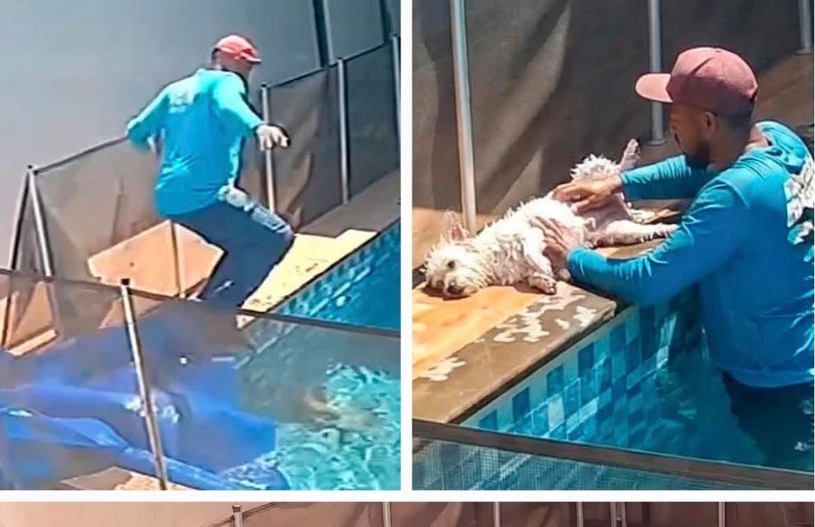 Hombre se lanza sin pensar y salva la vida de un perrito